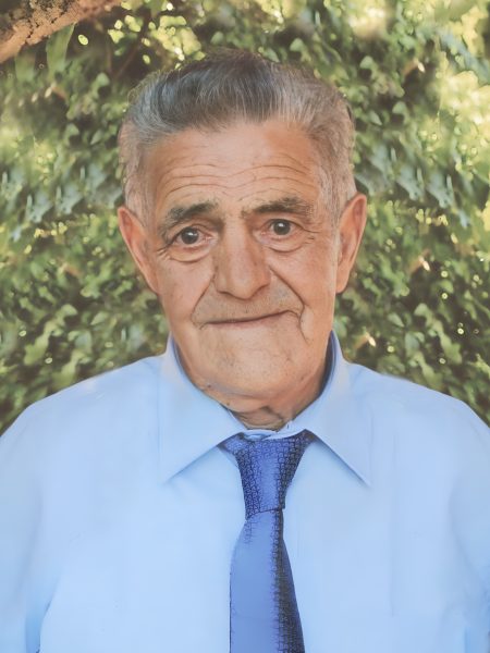 Elio Torti 170834 - 10 - 66x96